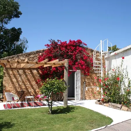 Hotel Le Rondini- Solo Adultos *