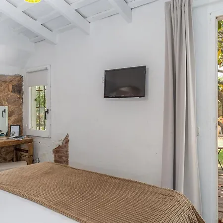 Hotel Le Rondini- Solo Adultos