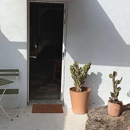 Hotel Le Rondini- Solo Adultos