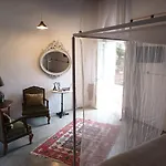 Le Rondini Solo Adultos