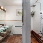 Le Rondini Solo Adultos *